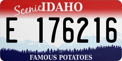 ID license plate E176216