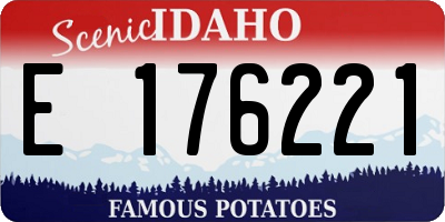 ID license plate E176221