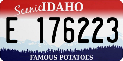 ID license plate E176223