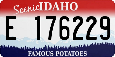 ID license plate E176229