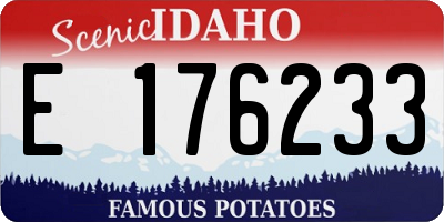 ID license plate E176233