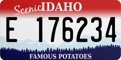 ID license plate E176234