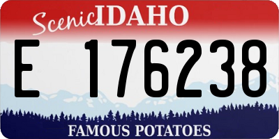 ID license plate E176238