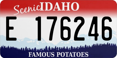 ID license plate E176246