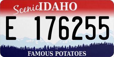 ID license plate E176255