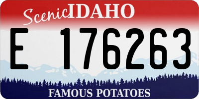 ID license plate E176263