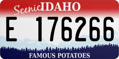 ID license plate E176266