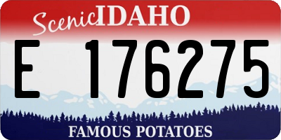 ID license plate E176275