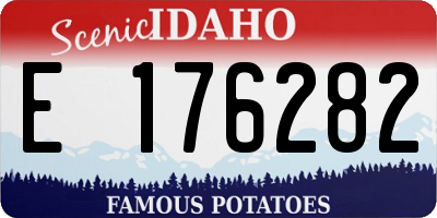 ID license plate E176282