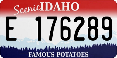 ID license plate E176289
