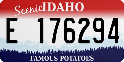 ID license plate E176294