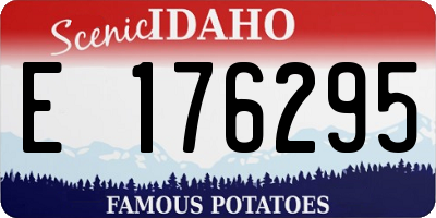 ID license plate E176295