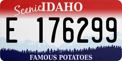 ID license plate E176299