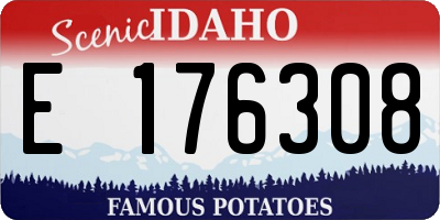 ID license plate E176308