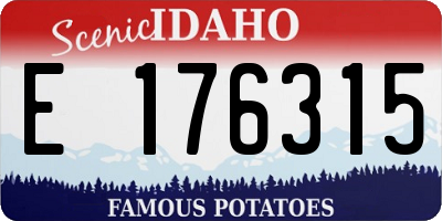 ID license plate E176315