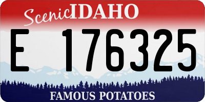 ID license plate E176325