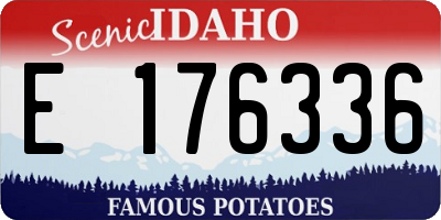 ID license plate E176336