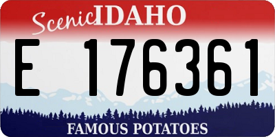 ID license plate E176361