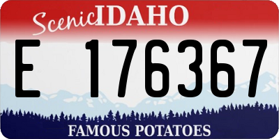 ID license plate E176367