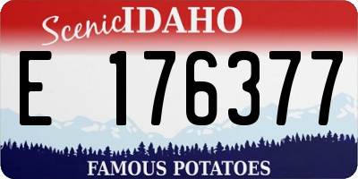 ID license plate E176377
