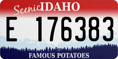 ID license plate E176383