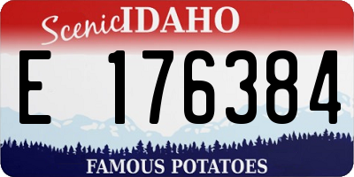 ID license plate E176384