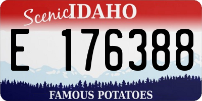 ID license plate E176388
