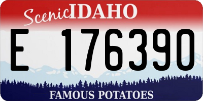 ID license plate E176390