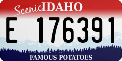 ID license plate E176391