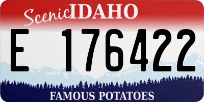 ID license plate E176422