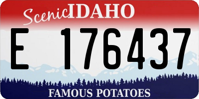 ID license plate E176437
