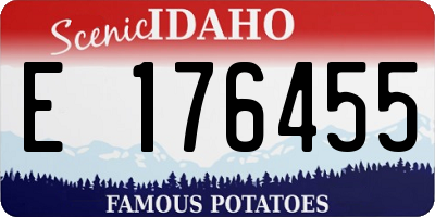 ID license plate E176455