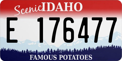 ID license plate E176477