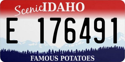 ID license plate E176491