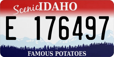 ID license plate E176497