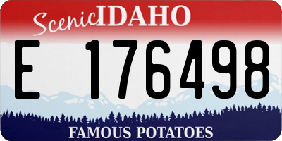 ID license plate E176498