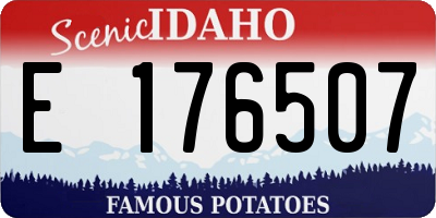 ID license plate E176507