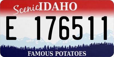 ID license plate E176511