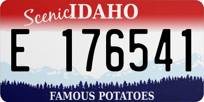 ID license plate E176541