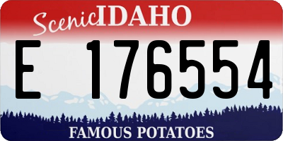 ID license plate E176554