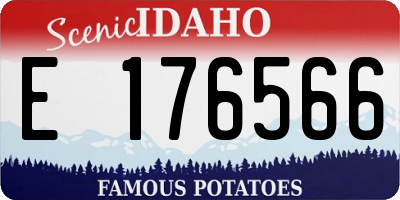 ID license plate E176566