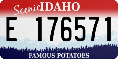ID license plate E176571