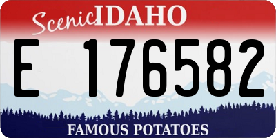 ID license plate E176582