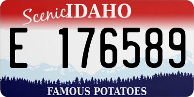 ID license plate E176589