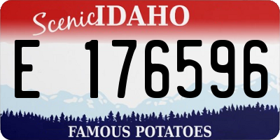 ID license plate E176596