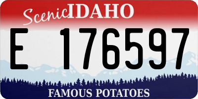ID license plate E176597