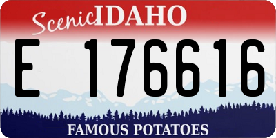 ID license plate E176616