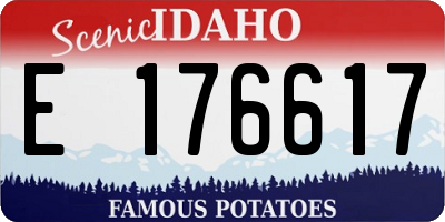 ID license plate E176617
