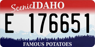 ID license plate E176651
