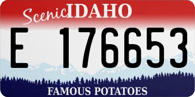 ID license plate E176653